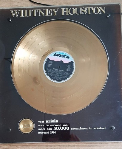 Whitney houston gold record - gold,